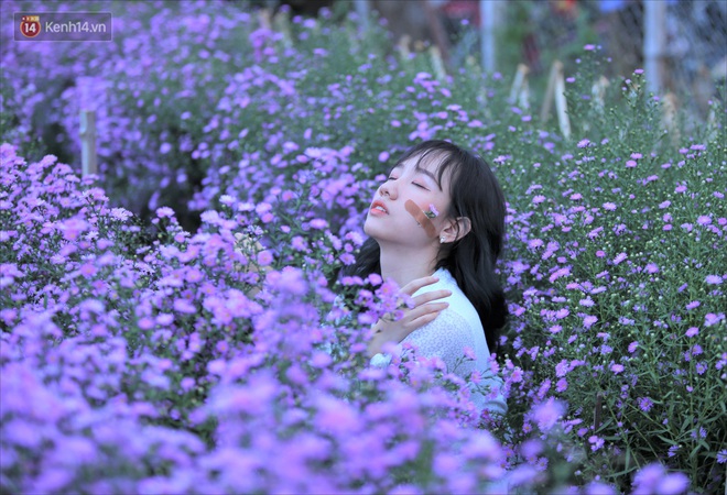 Dân tình chen chúc sống ảo tại vườn hoa thạch thảo đẹp lịm tim lần đầu được trồng ở Đà Nẵng - Ảnh 9.
