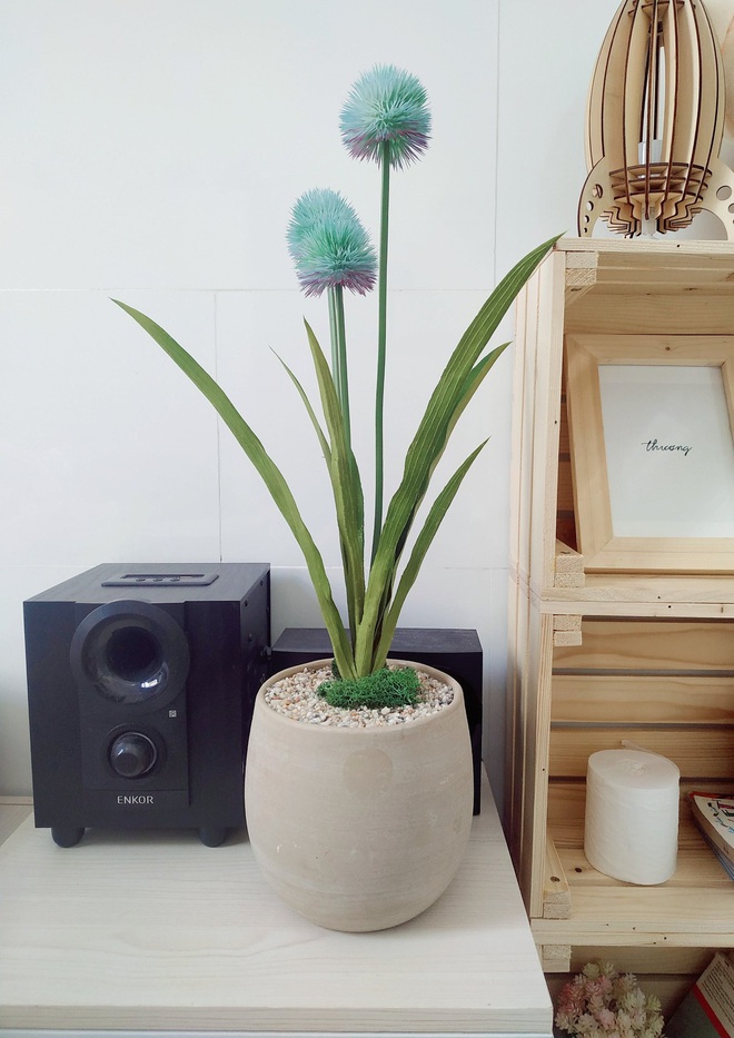 Bỏ 10 triệu đồng tập tành decor phòng ngủ, chàng trai giờ có cả loạt góc sống ảo ra gì này nọ  - Ảnh 17.