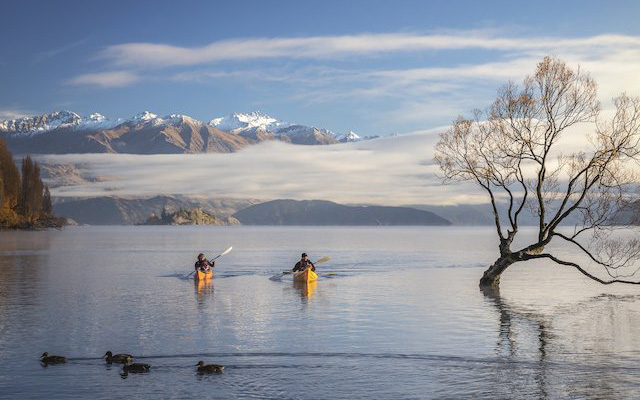 Note ngay lại những lưu ý dưới đây để khỏi bỡ ngỡ nếu lần đầu du hí New Zealand