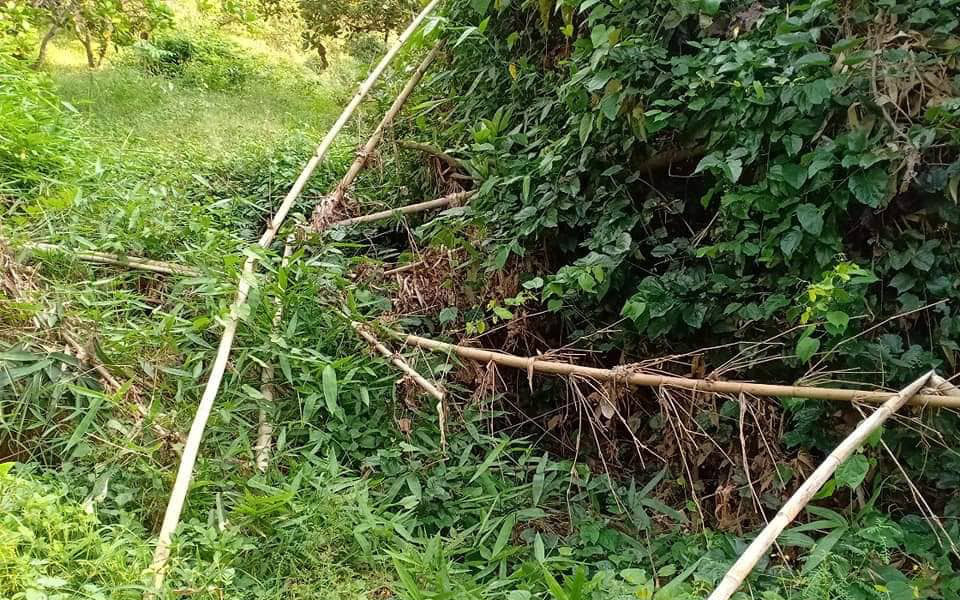 Vụ phát hiện nửa thi thể trong bụi rậm: Nạn nhân được gia đình trình báo mất tích ở tỉnh Đắk Nông