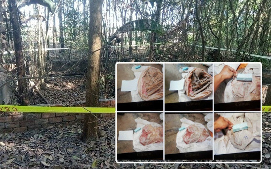 Hé lộ tình tiết kinh hoàng vụ phát hiện 9 bộ xương người ở Tây Ninh