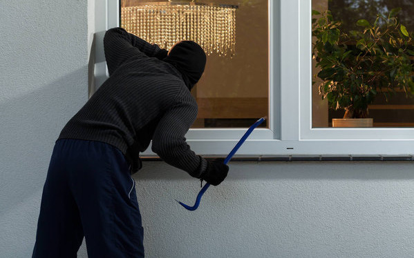 2 đối tượng thả chó cái "quyến rũ" chó coi nhà, cuỗm nhiều tài sản hơn 700 triệu đồng