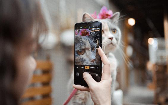 Chụp &quot;boss&quot; theo cách này mới đủ diễn tả hết vẻ cute &quot;bá đạo&quot;