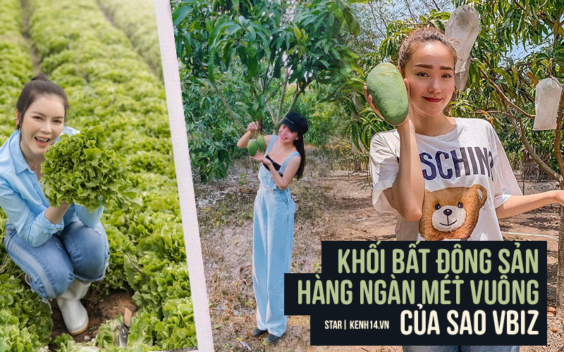 Mục sở thị bất động sản chục ngàn mét vuông của sao Việt: Toàn để trồng rau nuôi cá, Lý Nhã Kỳ có khu đất như nông trại