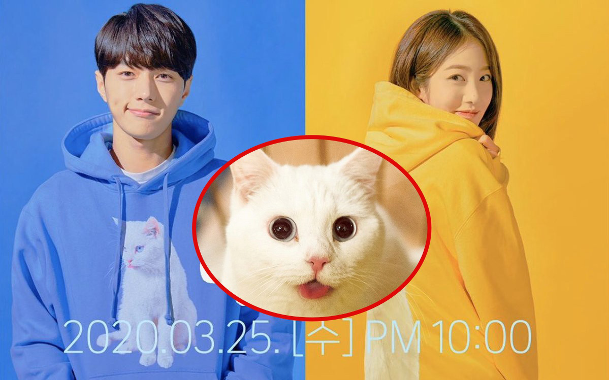 Meow The Secret Boy có rating thấp kỉ lục, netizen phàn nàn: Cốt truyện trẻ con, L (Infinite) diễn dở hơn cả &quot;boss mèo&quot;?