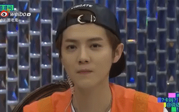Fan nhớ lại thời EXO còn đủ 12 thành viên khi thấy Luhan &quot;đi đường quyền&quot; với Tao