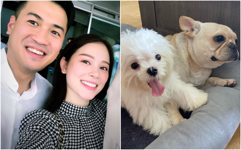 Bóc giá thú cưng của Phillip Nguyễn và Linh Rin ngày comeback: Có giá 65 triệu, cái tên không biết lấy cảm hứng từ ai ta!