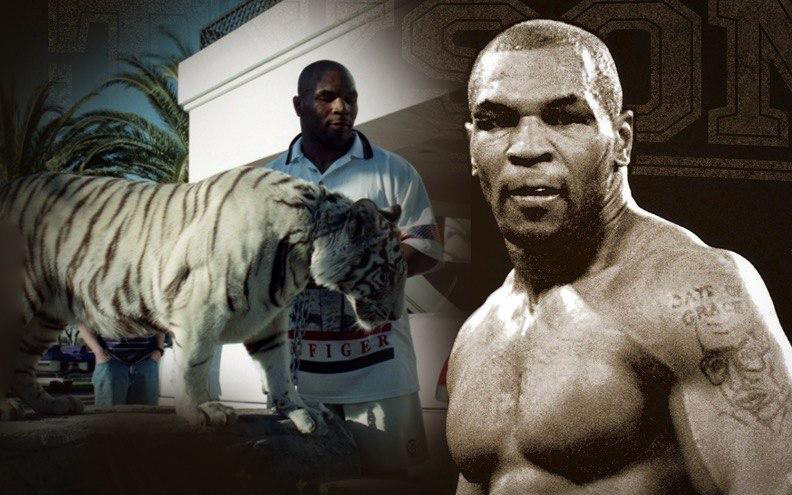 Thú chơi ngông thích nuôi hổ của Mike Tyson và giai thoại mất oan 6 tỷ đồng vì để vật nuôi "ăn thịt người"