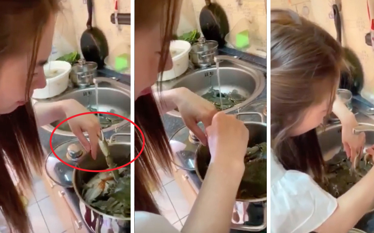 Vào bếp trổ tài nhưng lại bị cua cắp cho khóc không thành tiếng, dân mạng xem xong vừa thương vừa buồn cười