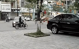 Clip: Xe ô tô mất lái húc văng xe máy, tông đổ cây trên vỉa hè khiến nhiều người hốt hoảng