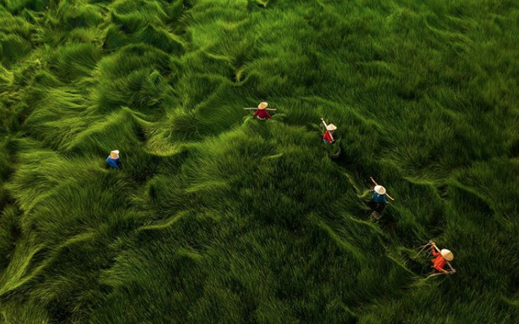 Bộ ảnh đồng cỏ Việt Nam “lượn sóng” đang gây bão mạng quốc tế, nhưng cả ngàn người nước ngoài lại bị nhầm lẫn ở một điểm này