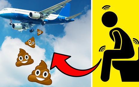 Giải mã: Giọng ghi âm &quot;vừa chua vừa thé&quot;, nheo mắt khi ăn chua, chất thải toilet máy bay đi đâu?