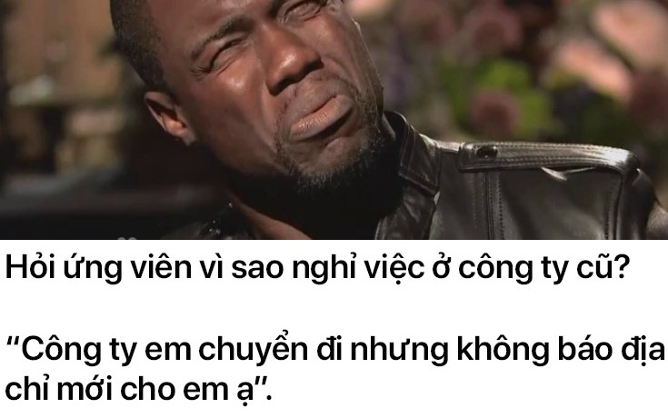 Những câu trả lời phỏng vấn mang tính giải trí cực cao khiến cư dân mạng cười mệt nghỉ