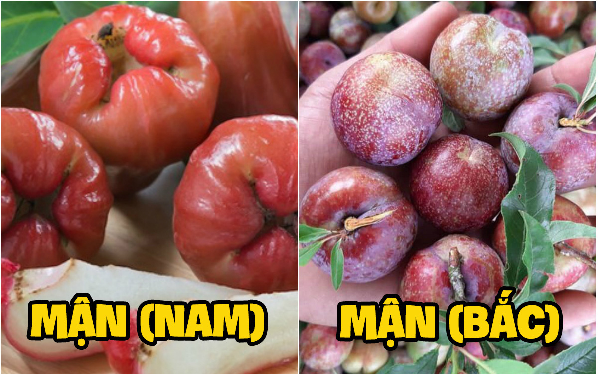 Nhiều loại rau củ quả quen thuộc có cách gọi cực khác nhau giữa 3 miền, đọc một hồi kiểu gì cũng &quot;lú lẫn&quot; cho xem!