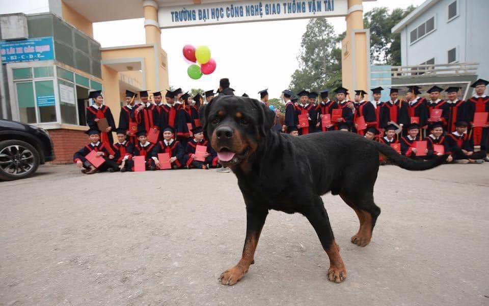 Đang hào hứng chụp ảnh kỷ yếu, học trò ngơ ngác vì &quot;sinh vật lạ&quot; chiếm spotlight