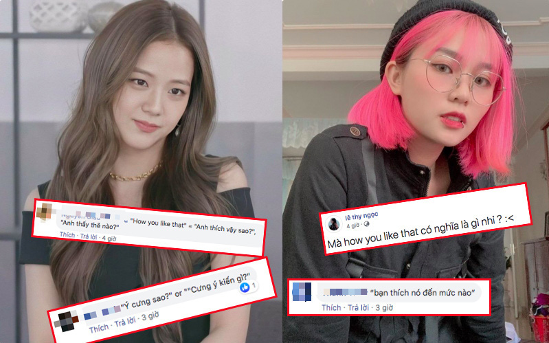 BLACKPINK đang yên lành gây bão toàn cầu thì bỗng dưng MisThy hỏi “How You Like That” nghĩa là gì, làm netizen lại “loạn xị ngậu” hết cả lên!