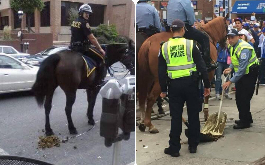Dọn phân ngựa: Cơn ác mộng gây ám ảnh mọi đội kỵ binh cảnh sát trên toàn thế giới