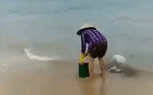 Clip: Người phụ nữ thản nhiên mang rác đổ xuống biển, bị nhắc nhở vẫn thách thức "Làm gì được tao?"