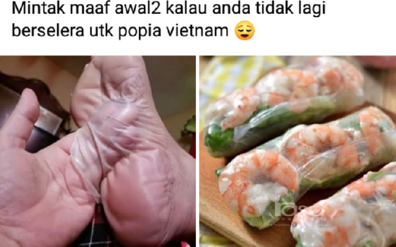 So sánh gỏi cuốn của Việt Nam với da chân người, một fanpage Malaysia khiến cộng đồng mạng phẫn nộ, hiện tại đã... biến mất