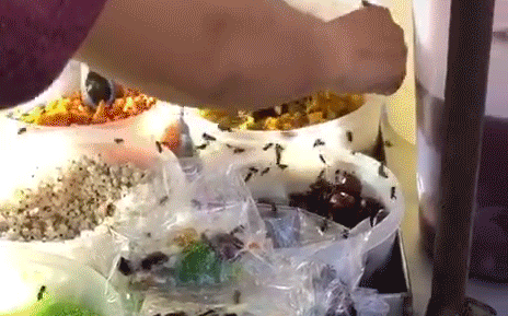 Hàng ăn vặt khiến dân tình &quot;phát sốt&quot; vì bị ruồi bu kín, nhưng nhìn kỹ ra là ong thì ai cũng thở phào