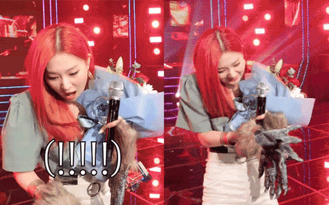 Seulgi (Red Velvet) bị nghi &quot;giơ ngón tay thối&quot; ngay trước khán giả, Knet khó tính lại phản ứng bất ngờ