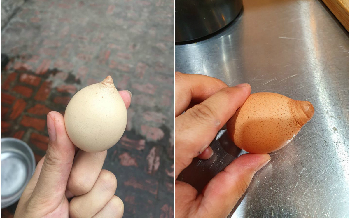 Cô gái chia sẻ hình ảnh quả trứng gà “mọc sừng” khiến cả MXH xôn xao, thoạt nhìn ai cũng tưởng đâu… củ hành tây?