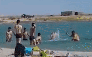 Phẫn nộ cảnh tượng hải cẩu bị du khách tắm biển vây đánh đến bất tỉnh chỉ để cho trẻ con chụp ảnh cùng