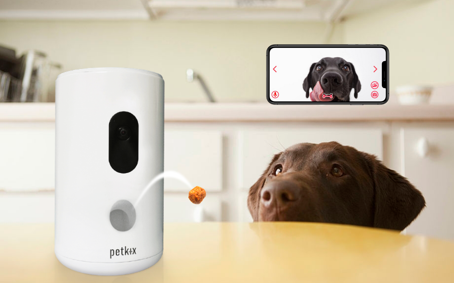 Lại có thêm thiết bị giúp &quot;con sen&quot; phục vụ các &quot;boss&quot;, lần này là camera đa năng Petkix