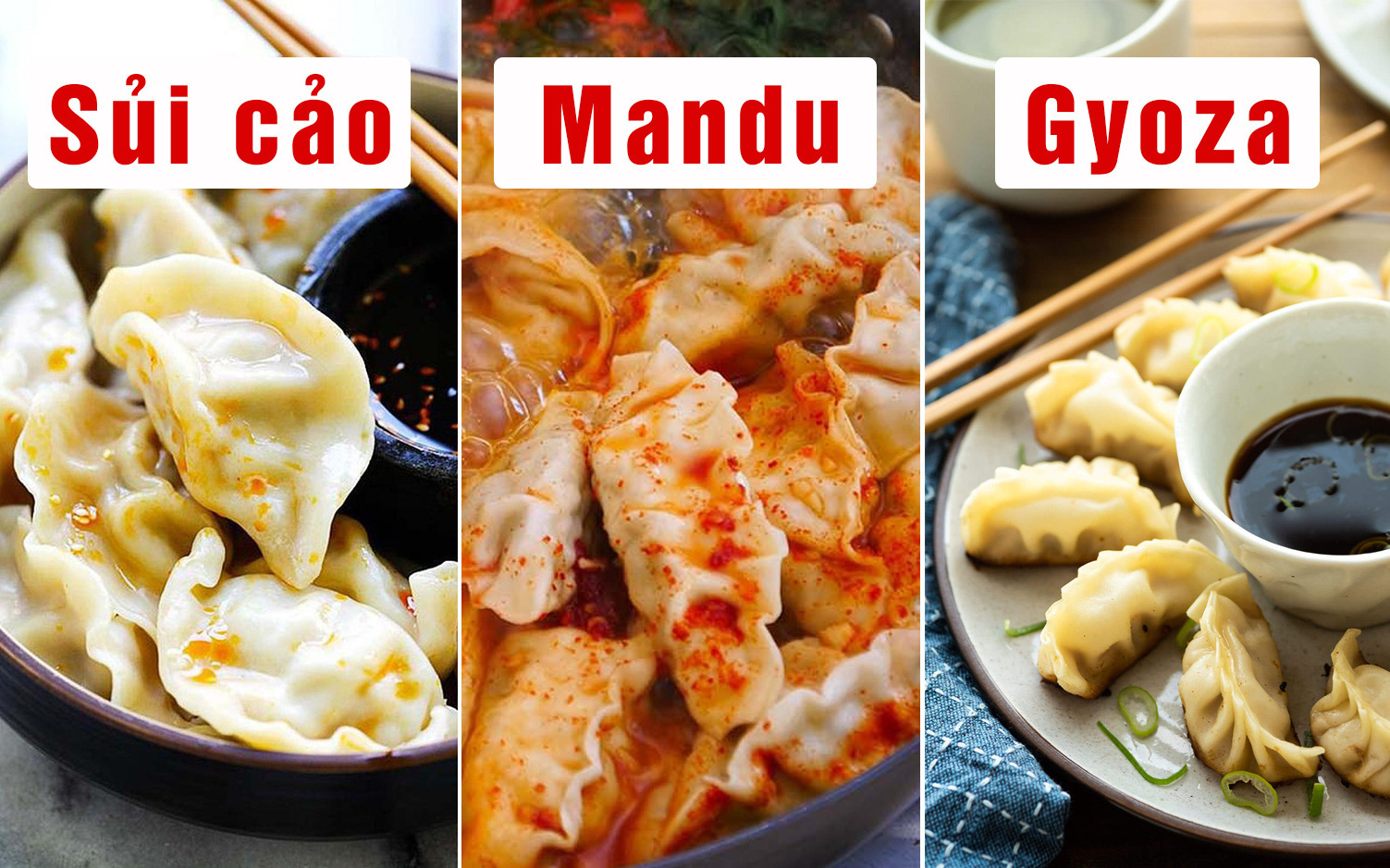 Sủi cảo Trung Quốc, mandu Hàn Quốc và gyoza Nhật Bản: đâu mới thật sự là &quot;bản gốc&quot; và liệu có khác gì nhau không?