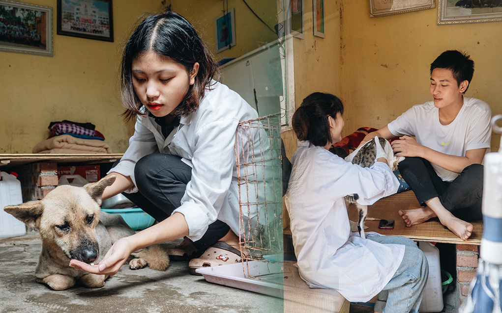 Trạm cứu hộ chó, mèo của các bạn sinh viên ở Hà Nội: 