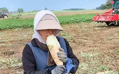 Hình ảnh người phụ nữ ăn củ cải sống ngon lành ngay giữa ruộng và câu chuyện vất vả phía sau khiến ai nấy đều cảm động