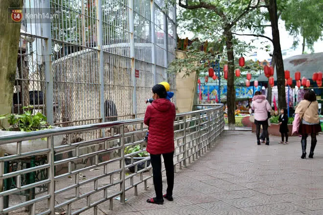 Ảnh: Động vật tại vườn bách thú Thủ Lệ co ro, ủ rũ trong cái lạnh “thấu xương” ở Thủ đô - Ảnh 2.