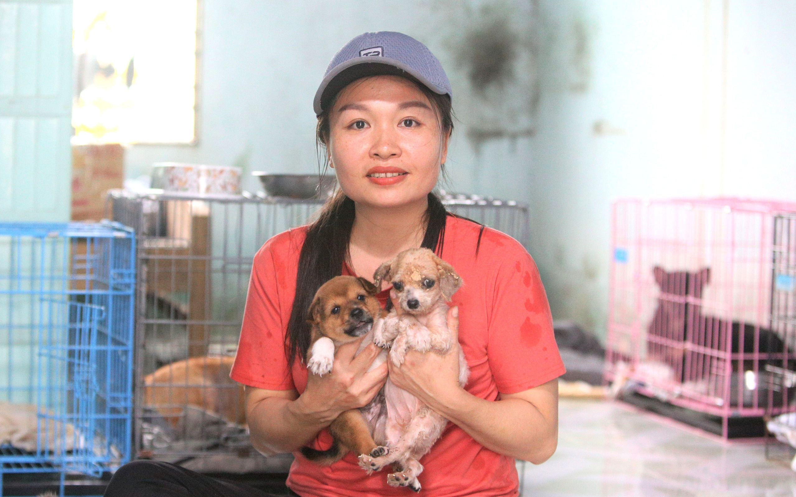 Người phụ nữ bán nhà để được làm “mẹ” của hàng trăm chú chó mèo bị bỏ rơi ở Đà Nẵng
