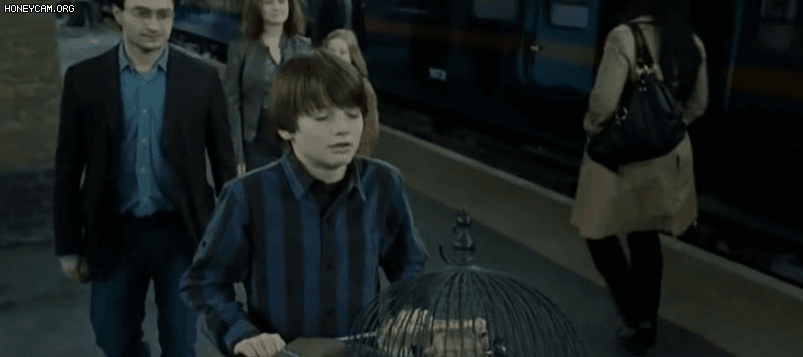 Con trai Harry Potter dậy thì thất bại sau 10 năm: Nhìn mà tức với dáng vẻ trai hư bất cần, sự nghiệp đi tong từ đời nào! - Ảnh 1.