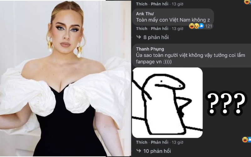 Fanpage 68 triệu người theo dõi của Adele bị netizen Việt ồ ạt tấn công, vì sao lại thế?