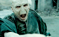 5 lần “hớ hênh” đến sai lệch của Harry Potter: Nhà Malfoy có bí mật kỳ lạ, nghe số tuổi của Voldemort mới thấy quá vô lý!