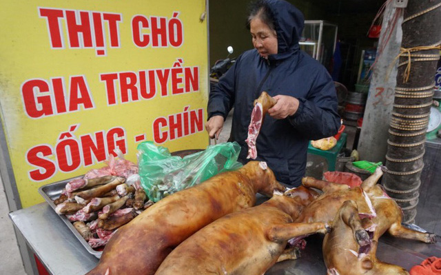 Lãnh đạo Hội An: &quot;Thông tin cấm bán thịt chó, mèo là không đúng, không ai mà cấm được&quot;