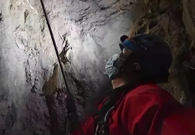 Mắc kẹt trong hang đá, chú chó sống dưới lòng đất suốt 6 năm bị mọi người quên lãng, biểu cảm lệch múi giờ khi được giải cứu khiến ai nấy xót xa - Ảnh 4.