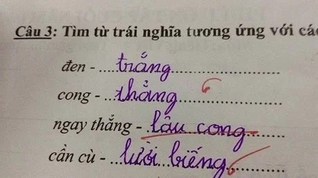Bài tập Tiếng Việt tìm từ trái nghĩa với ngay thẳng, học trò viết ra một từ mà ai nấy đều ngã ngửa - Ảnh 1.