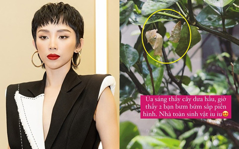 Tóc Tiên khoe vườn cây xanh tốt, nhưng lại bị nhầm lẫn 1 chi tiết nhỏ khiến chính chủ &quot;ê mặt&quot;: Thiếu kiến thức Sinh học trầm trọng luôn