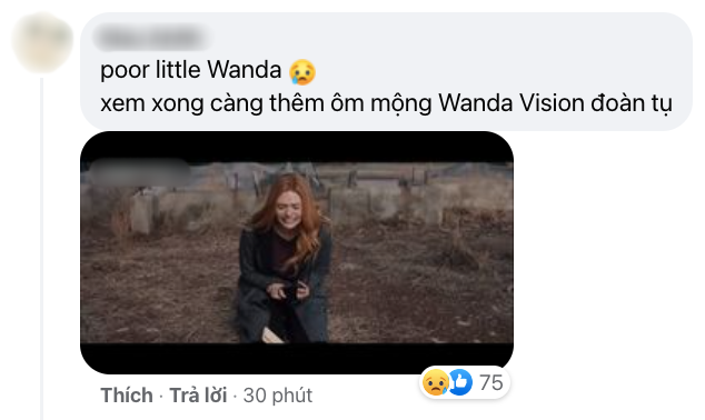 Netizen Việt bùng nổ vì WandaVision tập 8: Cảm động muốn khóc, tình tiết chấn động không thể ngờ! - Ảnh 11.
