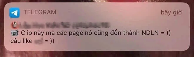 Cảnh báo: Nhiều group mại dâm nhạy cảm trên Telegram lừa đảo share link clip nóng giả Ninh Dương Lan Ngọc - Ảnh 5.