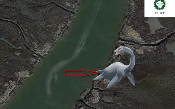 Những thuỷ quái khổng lồ vô tình được Google Earth ghi lại, nhìn rất khó tin!