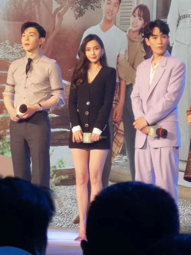 Visual 6 tiểu Hoa đán qua cam thường: Angela Baby đỉnh chóp, Dương Mịch ngày càng dừ, Lưu Diệc Phi tuột dốc đến mức gây sốc - Ảnh 8.