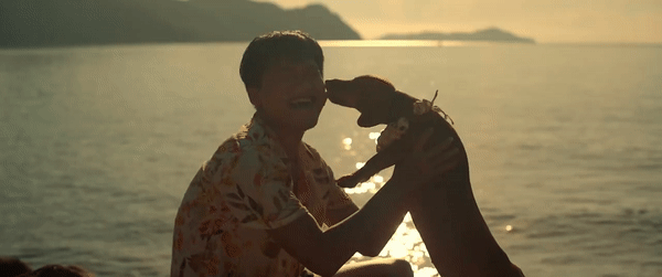 Xuân Nghị chơi lớn đưa cún cưng lên phim, tình tiết xúc động về hành trình lạc trên hoang đảo - Ảnh 6.