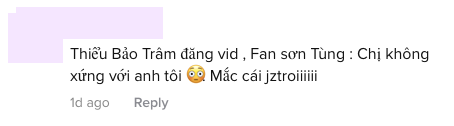 Thiều Bảo Trâm đăng clip nhảy cùng Hiền Hồ bị fan Sơn Tùng chỉ trích, netizen ngán ngẩm: Công lý chỉ dành cho người nhiều fan - Ảnh 5.