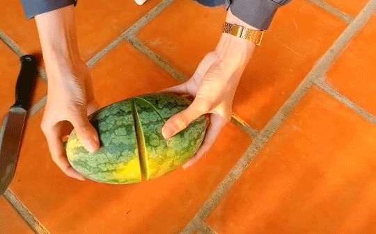 Dân tình thi nhau khoe dưa hấu tự trồng, quả nhà ai cũng nhỏ xíu nhưng bổ ra thì cực kỳ bất ngờ - Ảnh 6.