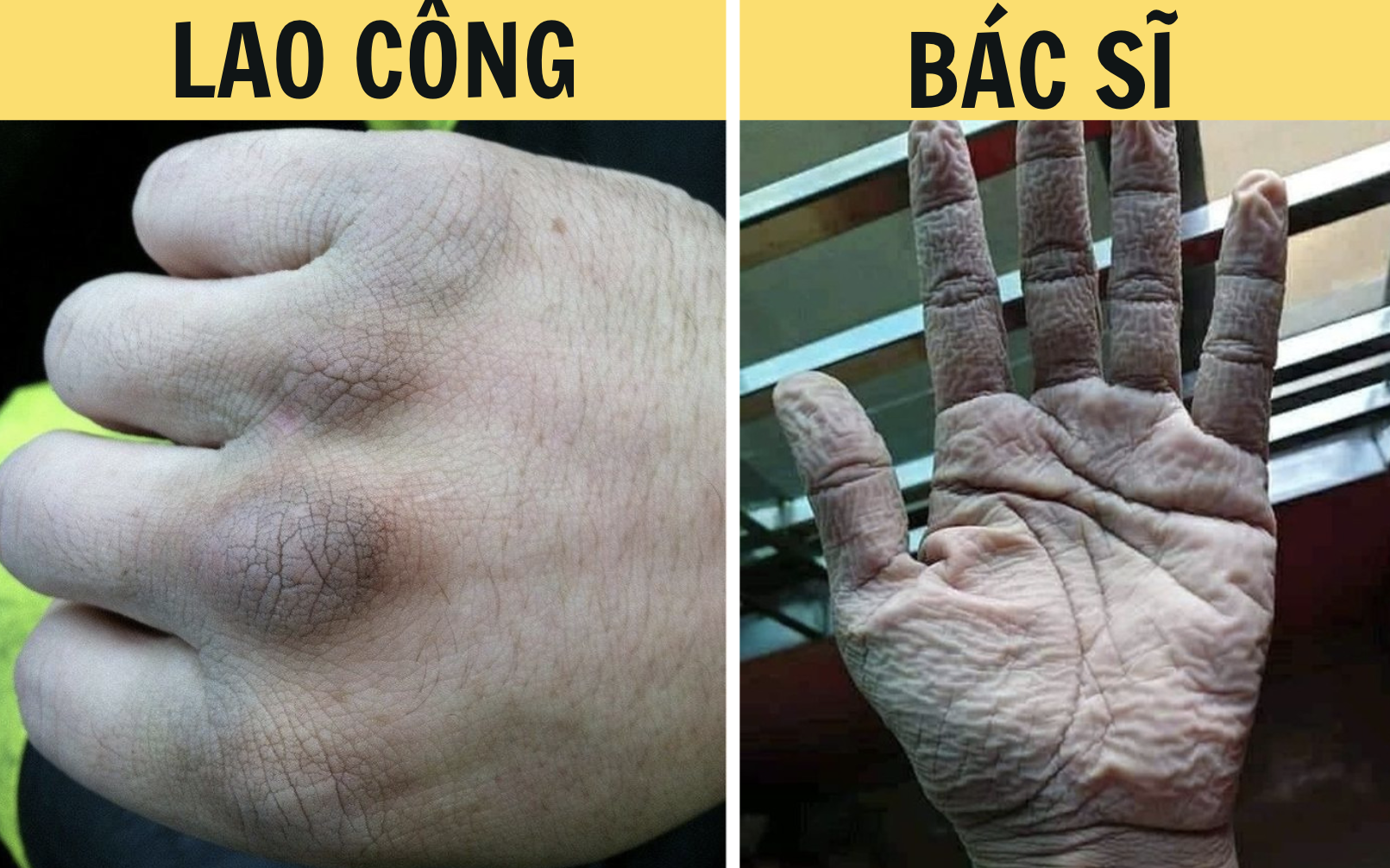 Những bức ảnh biết nói: Loạt bí mật nghề nghiệp sẽ chẳng ai biết nếu người trong cuộc không chia sẻ, công việc nào cũng có vui buồn riêng