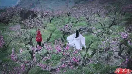 Hot YouTuber Lý Tử Thất khoe sắc giữa rừng hoa đào, netizen lại nhìn ra nàng Bạch Thiển của Tam Sinh Tam Thế? - Ảnh 2.