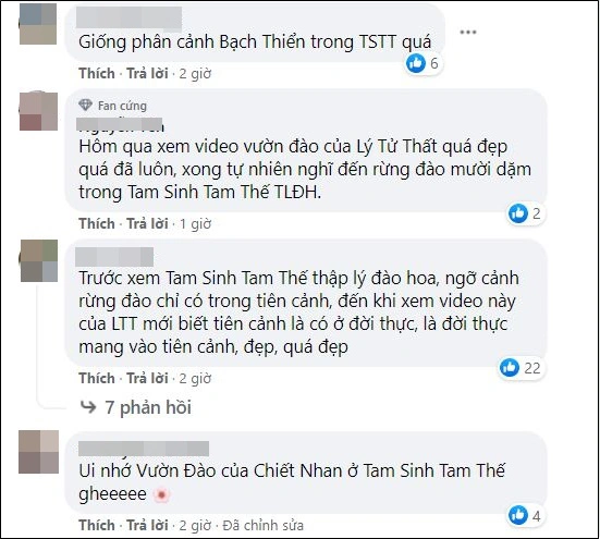Hot YouTuber Lý Tử Thất khoe sắc giữa rừng hoa đào, netizen lại nhìn ra nàng Bạch Thiển của Tam Sinh Tam Thế? - Ảnh 13.